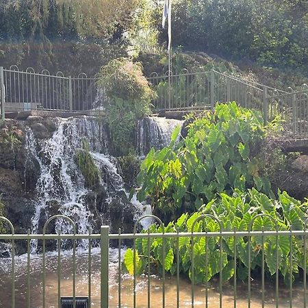 צימר יערת הדבש هغوشريم المظهر الخارجي الصورة