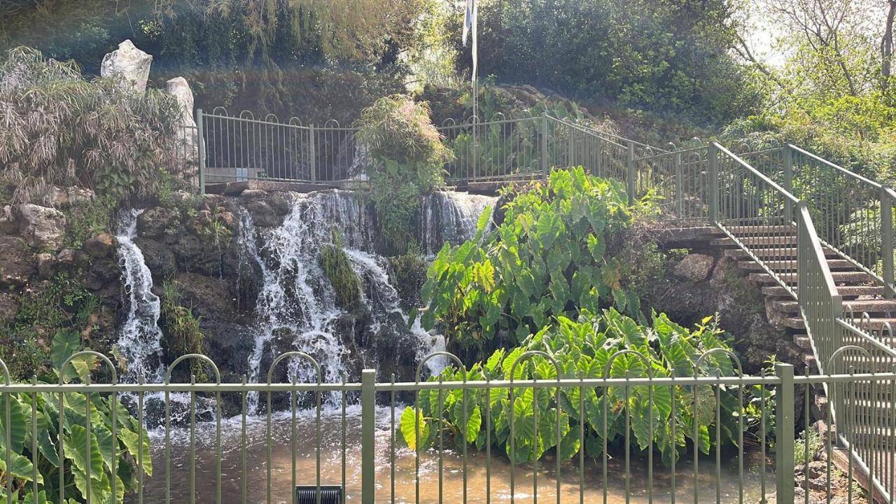 צימר יערת הדבש هغوشريم المظهر الخارجي الصورة